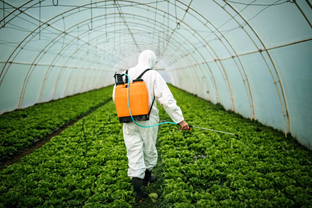 Best Residential Pest Control  in Dobson, NC