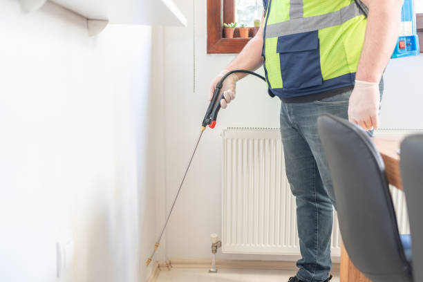 Best Ant Control Services  in Dobson, NC