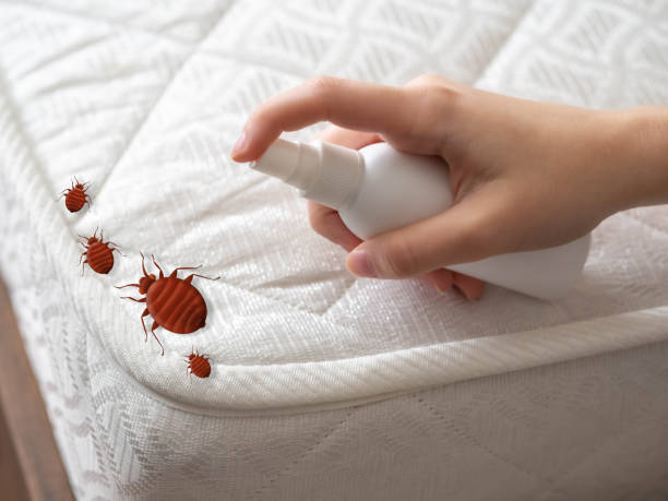 Best Best Pest Control Companies  in Dobson, NC