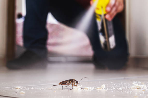 Best Cockroach Control Services  in Dobson, NC