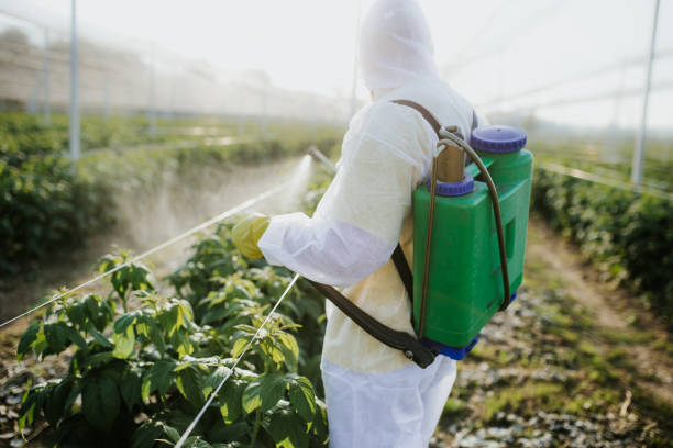 Pest Control Cost in Dobson, NC